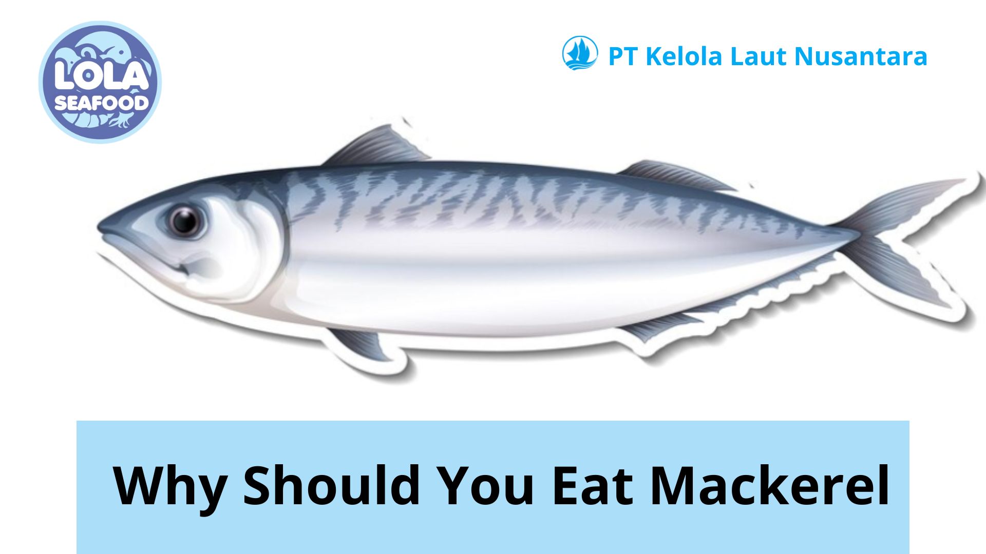 Why Should You Eat Mackerel